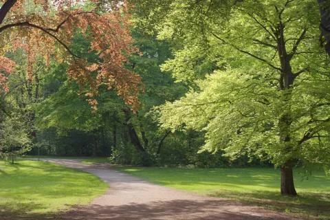 Walkway on a sunny day Stock Photos