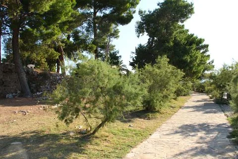 Walkway in Supetar Stock Photos