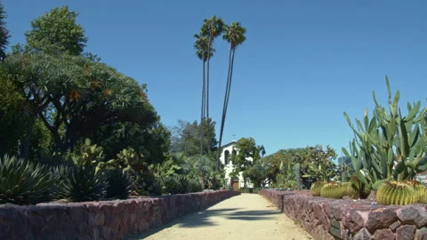 Walkway through a Cactus Garden Video stock 131207704
