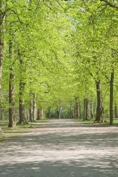 Walkway through spring scenery Stock Photos