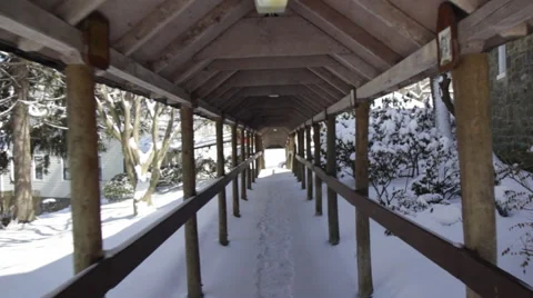 Walkway Tracking Stock Footage 61547694