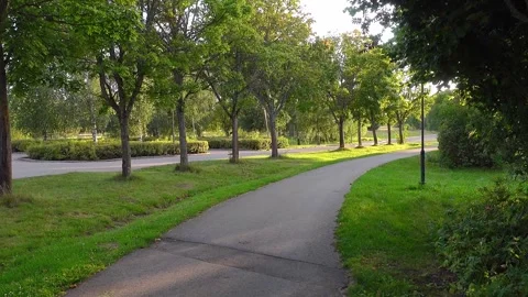 Walkway with trees Video stock 286055591
