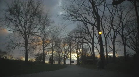 Walkway with trees in the winter Stock Footage 58929833