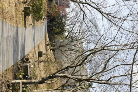 Walkway under dry branch tree in winter season Stock Photos