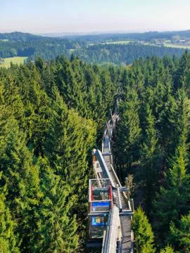 Walkways in the trees Stock-Fotos