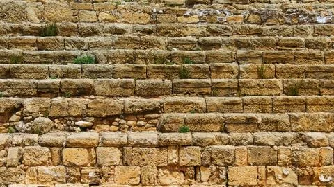 Wall of an ancient structure powdered by plants Foto stock