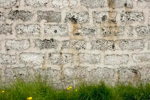 Wall and grass Stock Photos