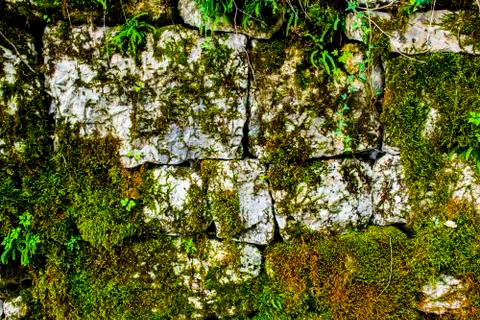 Wall and stones three Stock Photos