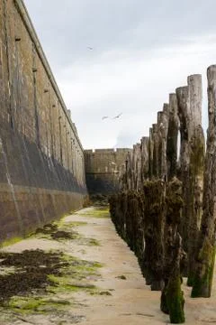 Wall and tree trunks on the beach of Saint-Malo at low tide Stock Photos