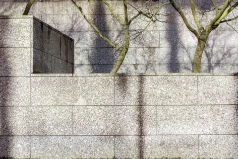 Wall and trees. Stock Photos