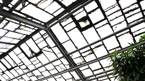 Wall and windows is broken Видео 73720950