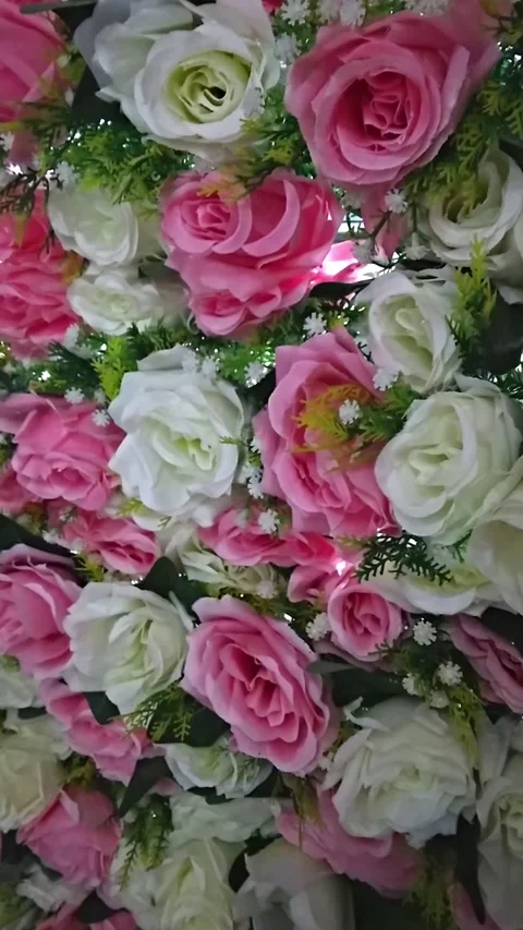 Wall of Artificial Pink and White Roses. Stock Footage 295167453