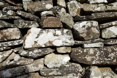 Wall background closeup Фото