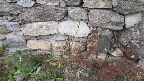 Wall (background) Stock Footage 97207097