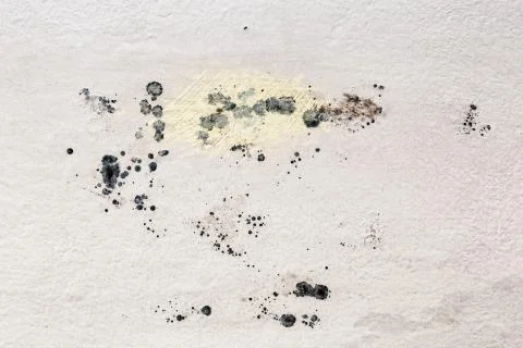 Wall background with a mold Stock Photos