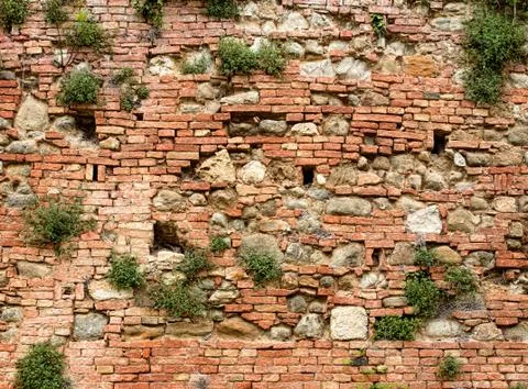 Wall background Stock Photos