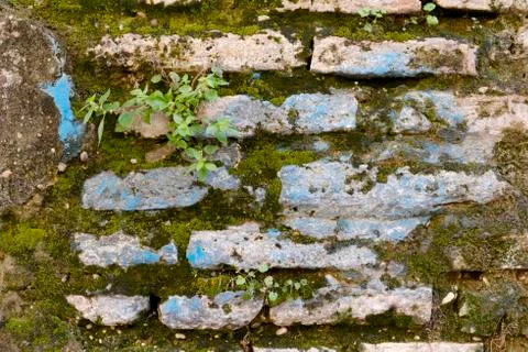 Wall background Stock Photos