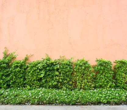 Wall background Foto stock