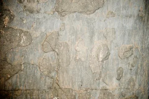 Wall background Фото