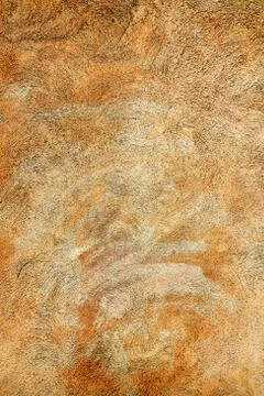 Wall background Stock Photos