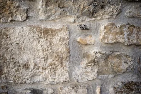 Wall background Foto stock