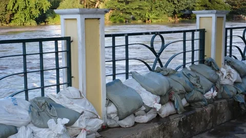 A wall of bags of sand is piled up against a fence Stock Footage 291284509