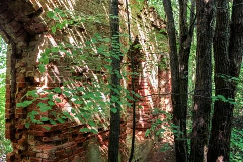 Wall behind the trees. Stock Photos