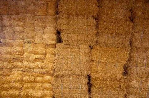 Wall of big bricks of hay in the barn Stock Photos