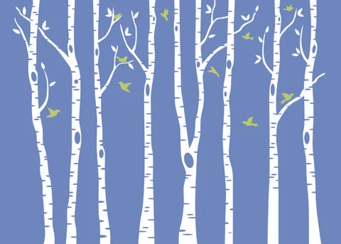 Wall Birch Tree Decal Forest Stock Illustration