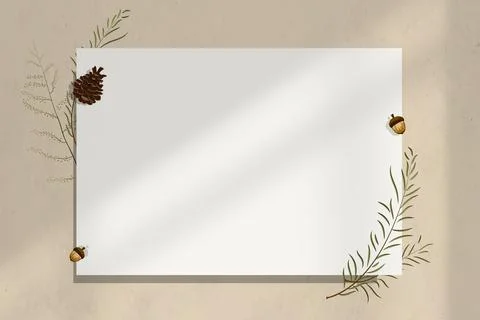 Wall blank paper frame with acorn decoration Stock Photos