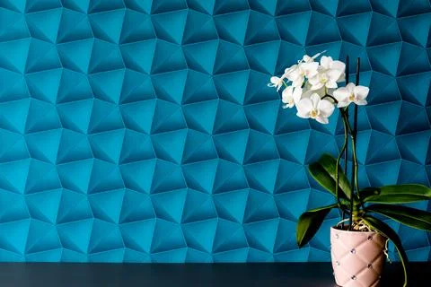 A wall with blue patterned wallpaper. White orchid with green leaves in a p.. Stock Photos