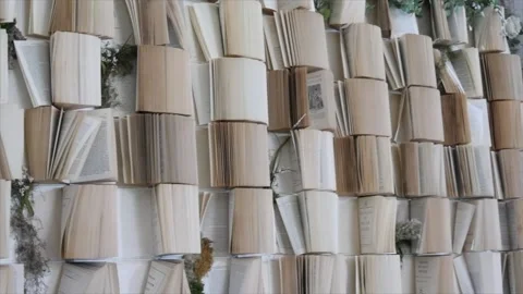 Wall of Books Stock Footage 270229833