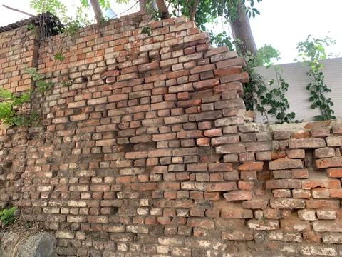 Wall of brick, Old Damaged Brick Wall with Vegetation Growth Stock Photos