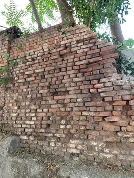 Wall of brick, Old Damaged Brick Wall with Vegetation Growth Stock Photos