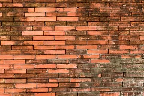 Wall brick Stock Photos