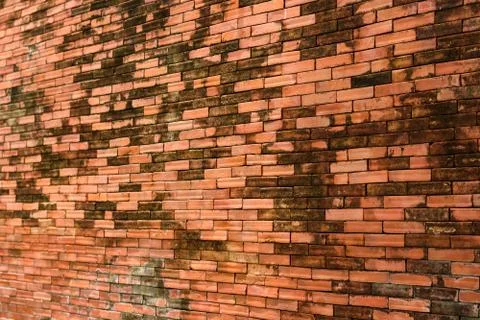 Wall brick Stock Photos