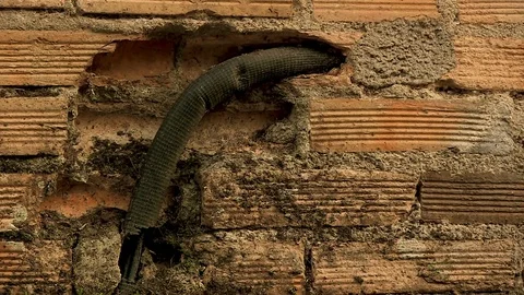 Wall of Bricks and Pipe Texture Stock Footage 79641083