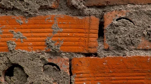 Wall of Bricks Texture Stock Footage 79641584