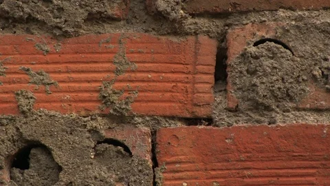 WALL OF BRICKS TEXTURE Stock Footage 90182533