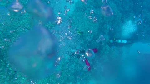 A wall of bubbles next to a tropical coral reef Stock Footage 227695224