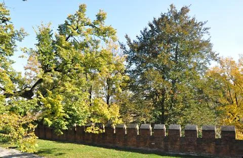 Wall castle Foto stock