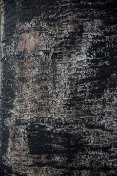 Wall cement surface and abstract concrete background.  스톡 사진