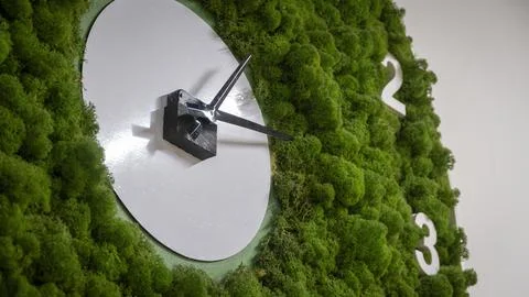 A wall with a clock made of grass Stock Photos