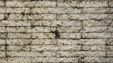 Wall concrete texture. Stock Photos