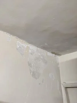 Wall corner near ceiling with peeling paint and exposed plaster caused Stock Photos