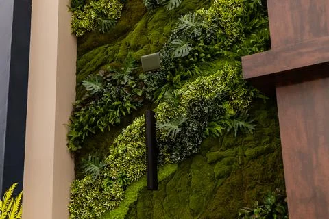 A wall covered with different types of green plants is set up in a modern ind Foto stock