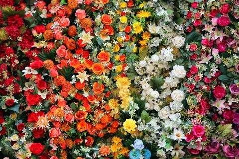 Wall covered with flowers of various types and colors Stock Photos