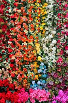 Wall covered with flowers of various types and colors Stock Photos