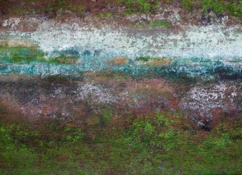 Wall covered by moss Stock Photos