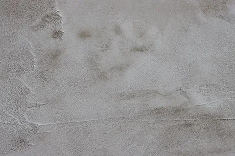 The wall is covered with rough putty. 스톡 사진